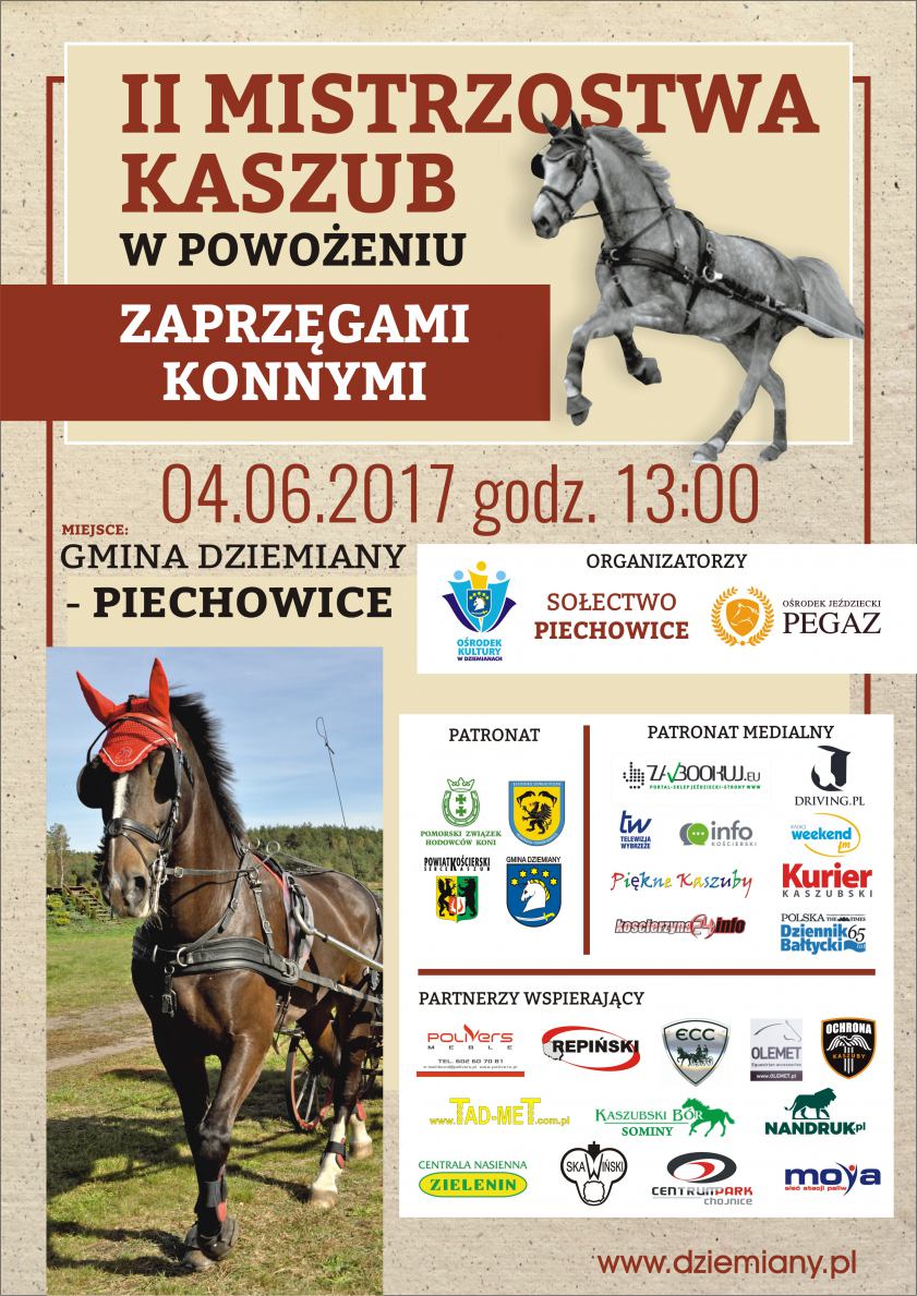 Mistrzostwa Kaszub w powożeniu zaprzęgami konnymi w Piechowicach