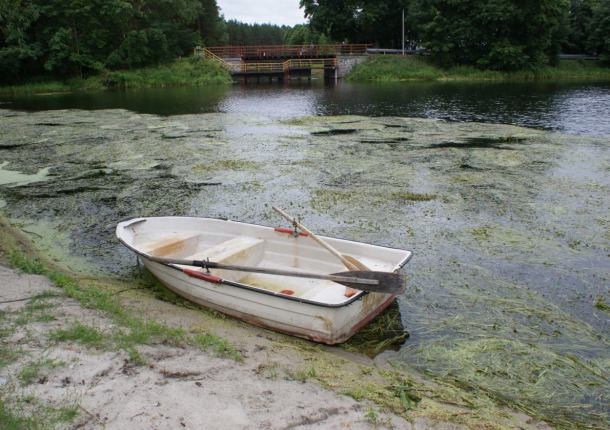 Na dnie Wielkiego Kanału Brdy gnije skoszona trawa? (FOTO)
