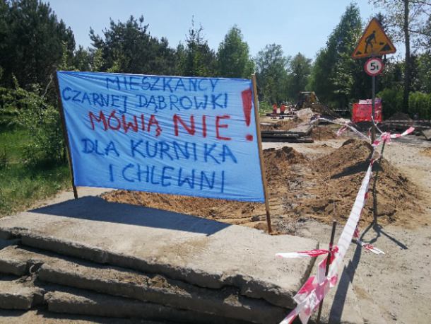 Hodowla świń w Czarnej Dąbrówce. Starosta bytowski i wójt gminy Czarna Dąbrówka mogą mieć kłopoty
