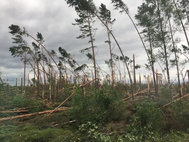 Sytuacja w powiecie sępoleńskim po przejściu nawałnicy