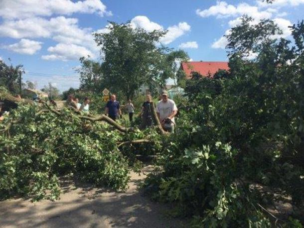 Trwa sprzątanie po nawałnicy w gminie Chojnice. Z Warszawy przyjechali harcerze