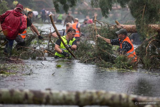 Przyjechali z całego kraju, stoją po pas w kanale Brdy. Piłują i  wyciągają drzewa (FOTO, WIDEO) 