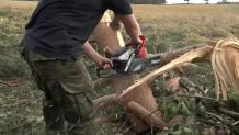 "Pomagamy, bo to nasz obowiązek". Harcerze z Mazowsza sprzątają po nawałnicy na Pomorzu