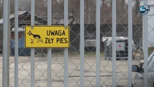 Młody mężczyzna został rozszarpany przez psy w Nowej Soli