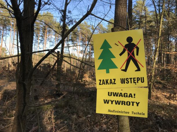 Nadleśnictwo Tuchola znosi częściowo zakaz wstępu na tereny leśne