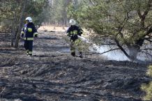 Duży pożar łąki i lasu w Międzyborzu w gminie Rzeczenica (FOTO)