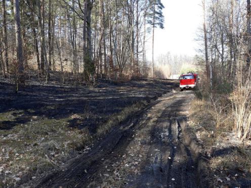 Zn&oacute;w pożary las&oacute;w i nieużytk&oacute;w: ogień w Chojnicach, Wolności k/Chojnic, Czersku i Czarnowie k/Brus