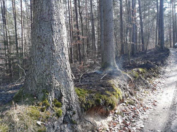 Znów pożary lasów i nieużytków: ogień w Chojnicach, Wolności k/Chojnic, Czersku i Czarnowie k/Brus