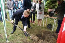 Dęby na pamiątkę stulecia niepodległości - to pomysł Tucholi na uczczenie państwowej rocznicy
