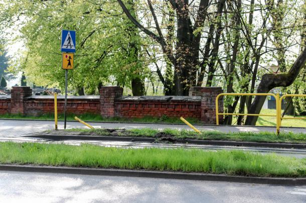 Kot powodem kolizji radiowozu w Chojnicach