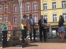 Mają promować miasto - W Kościerzynie pojawiły się już rzeźby stolemów