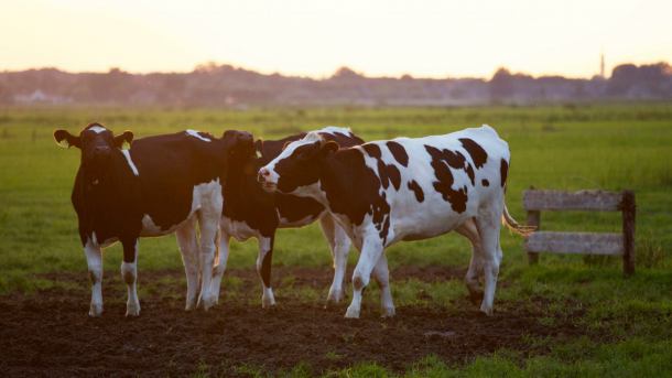 Mniejsze dopłaty za niestosowanie bioasekuracji przez rolników
