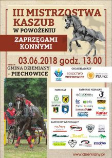 Mistrzostwa Kaszub w Powożeniu Zaprzęgami Konnymi w Piechowicach