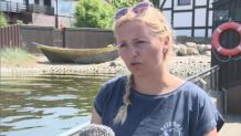 Kolejna martwa foka nad Bałtykiem. Helenka miała zmiażdżoną głowę
