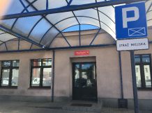 Mieszkańcy Kościerzyny poruszeni losem rannego psa, który błąka się w rejonie ulicy Małcużyńskiego