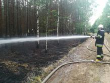 Pożar lasu w gminie Sępólno Krajeńskie (FOTO)