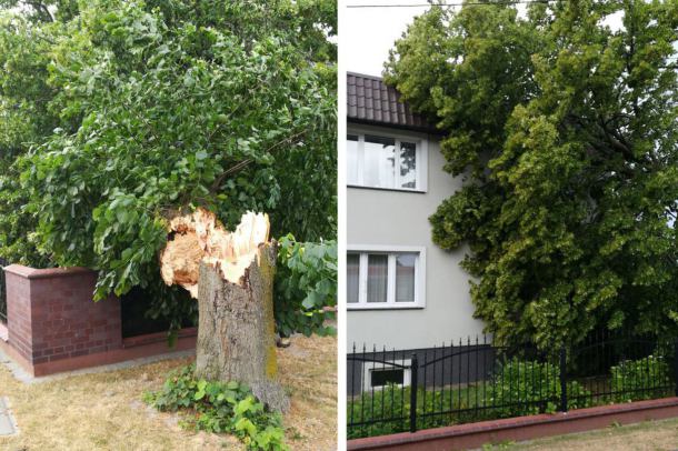 Burze nad regionem. W Przechlewie drzewo przewróciło się na dom (FOTO)