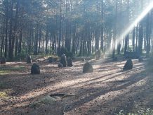Nadleśnictwo Lipusz udostępniło zwiedzającym Kręgi Kamienne w Węsiorach