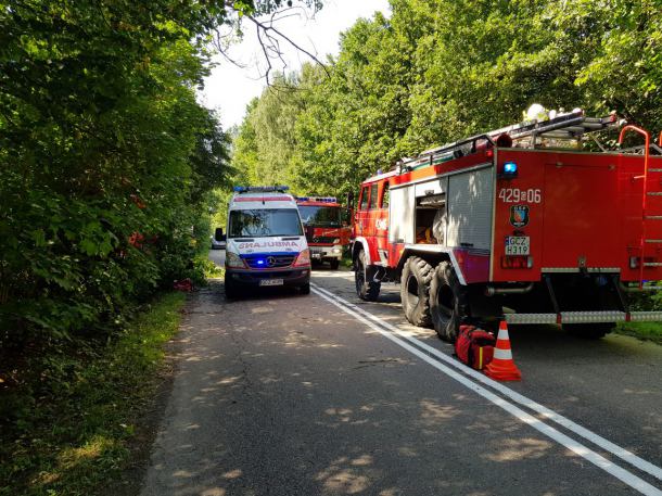 Samochód ciężarowy uderzył w drzewo niedaleko Raciniewa w gminie Czarne. Kierowca trafił do szpitala