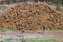 Triathlon na terenach dotkniętych przez nawałnicę. Pływali, jeździli na rowerze i biegali w okolicach Mylofu (FOTO)