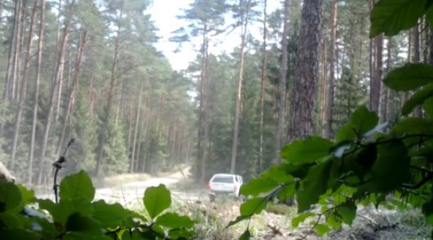Straż leśna z Lipusza poszukuje osoby, która wywiozła śmieci do lasu