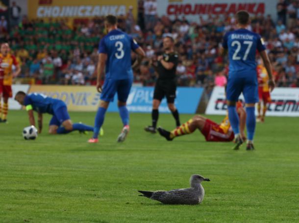 "To jest fatum". Kolejne stracone zwycięstwo Chojniczanki (RELACJA, FOTO)