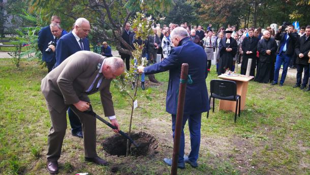 100 dębów zostało posadzonych w gminie Bytów z okazji 100-lecia niepodległości Polski