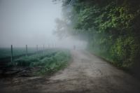 W sobotę wernisaż wystawy "Marcin Sarnowski Fotografia" połączony z koncertem Izzy & The Black Trees. 
