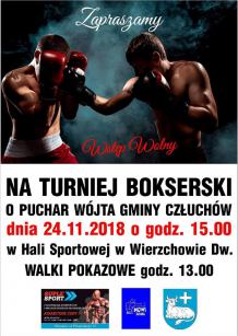 Turniej bokserski w Wierzchowie- Dworcu