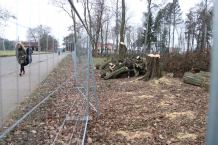 W Czarnem ruszyła modernizacja parku w ramach projektu "Zmieniamy Czarne na Zielone"