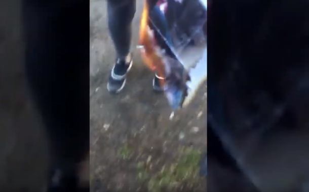Nastolatki z Więcborka spaliły zdjęcie koleżanki i nagrały to telefonem komórkowym (WIDEO)