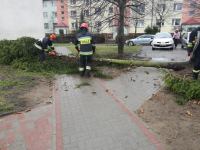 Połamane drzewa, brak prądu, uszkodzone dachy i samochody. Setki interwencji strażak&oacute;w w związku z wichurą w regionie