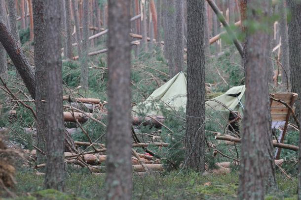 Będą zarzuty dla komendanta obozu harcerskiego w Suszku, na którym zginęły dwie harcerki
