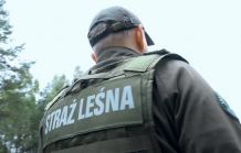 Poszukiwana 83-latka z gminy Borzytuchom uratowana przez bytowskich leśników