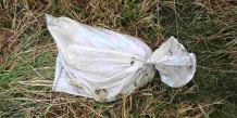 Utopił psa - mieszkaniec Przechlewa ma trafić do więzienia na 2 lata