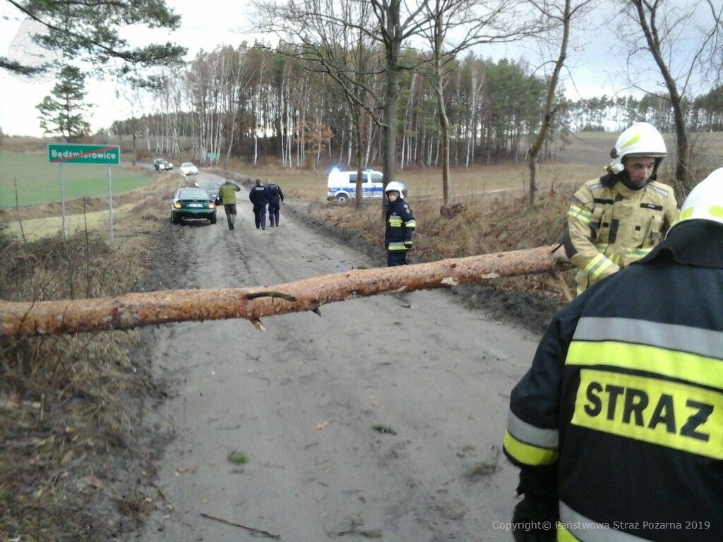 Połamane drzewa, brak prądu, uszkodzone dachy i samochody. Setki interwencji strażaków w związku z wichurą w regionie