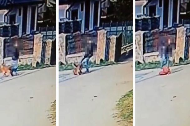 Kościerska policja prowadzi postępowanie w sprawie mężczyzny, który znęcał się nad psem