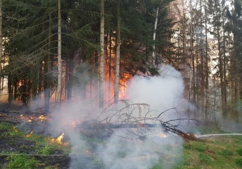 Strażacy mają mn&oacute;stwo pracy z powodu silnego wiatru. Pracują też przy pożarach i zdarzeniach drogowych