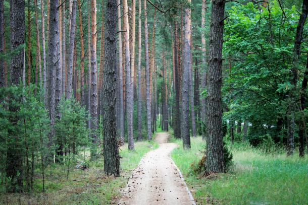 Kaszubska Marszruta - 180 km szlaków rowerowych, które łączą kaszubskie miejscowości