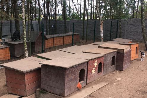 Graffiti w kościerskim schronisku. Grafficiarze i mieszkańcy Kościerzyny ruszają do akcji