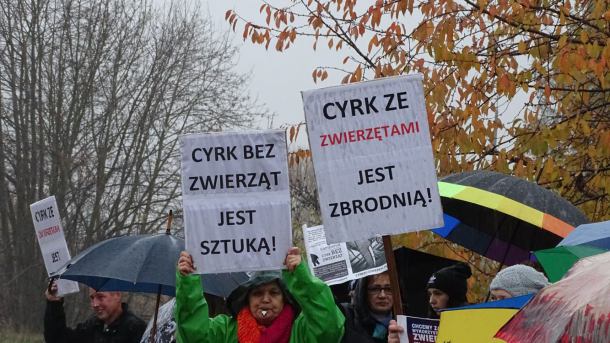 "Twoja rozrywka, ich cierpienie". Protest przed cyrkiem w Sępólnie Krajeńskim