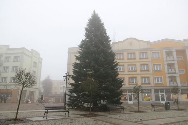 Na człuchowskim Rynku stanęła już choinka