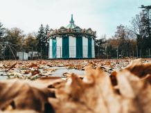 Czy kampania "Cyrk bez zwierząt" zawita do Tucholi?