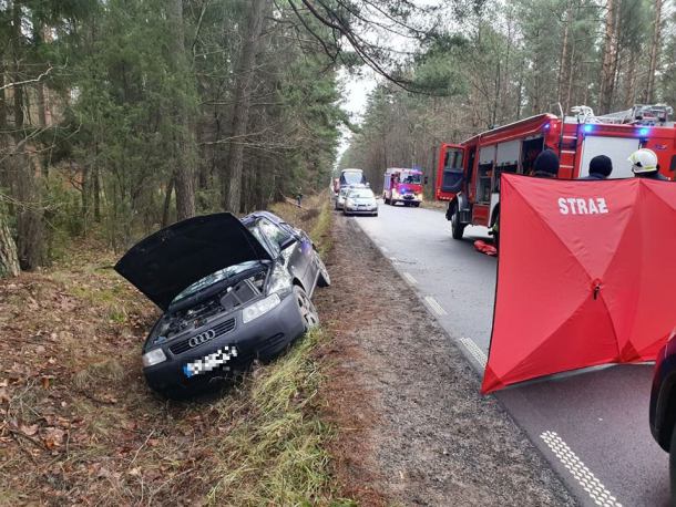 Zjechał do rowu na drodze wojewódzkiej w Ciecholewach. Nieprzytomny kierowca osobówki trafił do szpitala