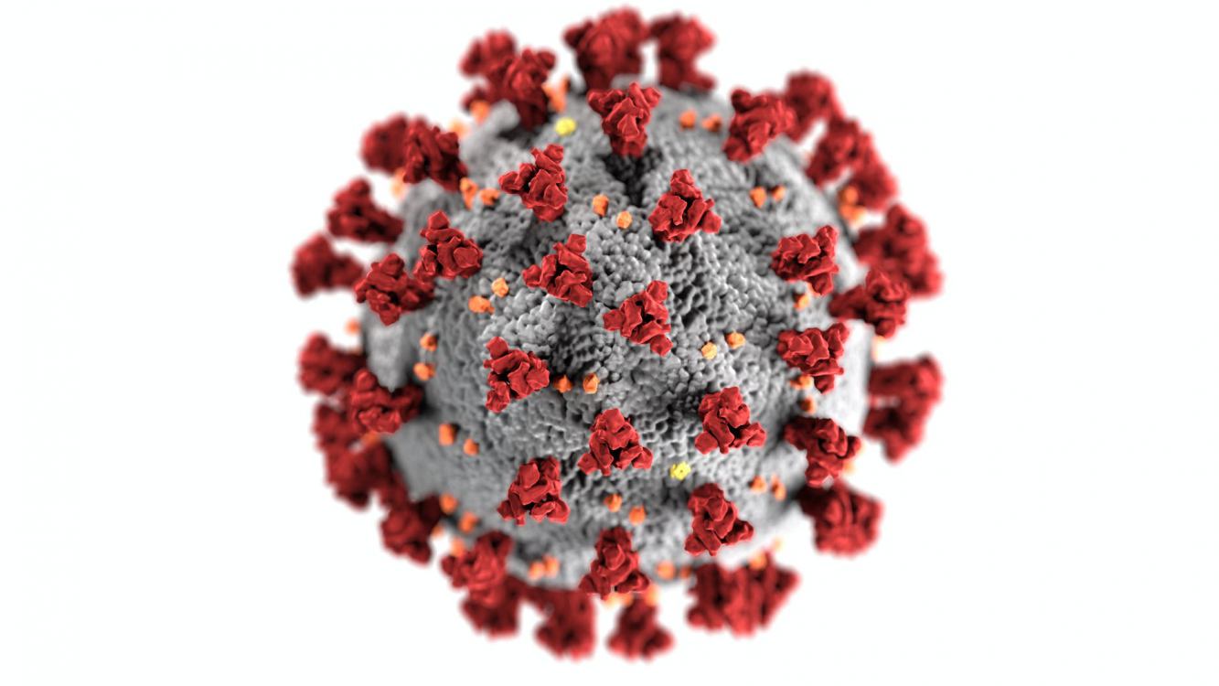 Koronawirus w regionie, 12 kwietnia 6 nowych przypadków zakażenia wirusem SARS-CoV-2