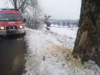 Ktoś podcina piłą drzewa rosnące przy jezdni. Kościerska policja szuka sprawc&oacute;w