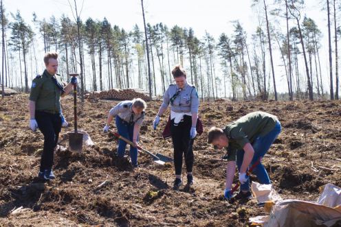Niemal cztery lata po przejściu nawałnicy w lasach naszego regionu nadal odbudowywany jest drzewostan (ROZMOWA)