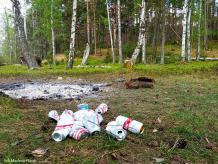 Nie pomagają apele. Zaśmiecanie lasów to wciąż poważny problem, który generuje konkretne koszty (ROZMOWA)