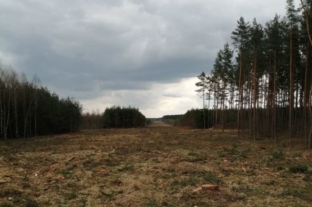 Przetarg na budowę obwodnicy Brzezia w gminie Rzeczenica oparł się o Krajową Izbę Odwoławczą