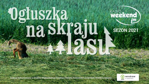 Ogłuszka na skraju lasu. Sezon 2021